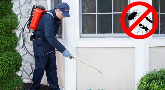 Narman Bit İlaçlama böcek ilaçlama ve haşere kontrolü — ilaclama-tr.com